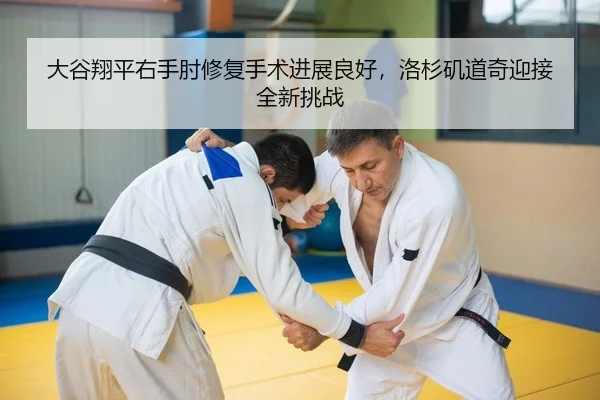 da-gu-xiang-ping-you-shou-zhou-xiu-fu-shou-shu-jin-zhan-liang-hao-luo-shan-ji-dao-qi-ying-jie-quan-xin-tiao-zhan-2-552.jpg